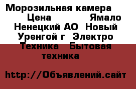 Морозильная камера Stinol › Цена ­ 5 000 - Ямало-Ненецкий АО, Новый Уренгой г. Электро-Техника » Бытовая техника   